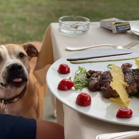 Isola Polvese 拉戈堡