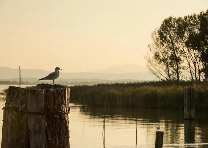 Hotel Isola Polvese Castiglione del Lago