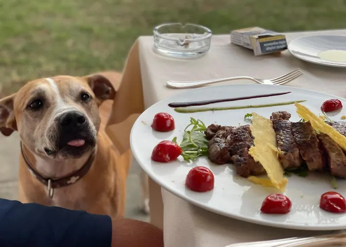 Isola Polvese Castiglione del Lago